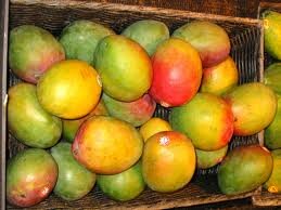 MANGO`S